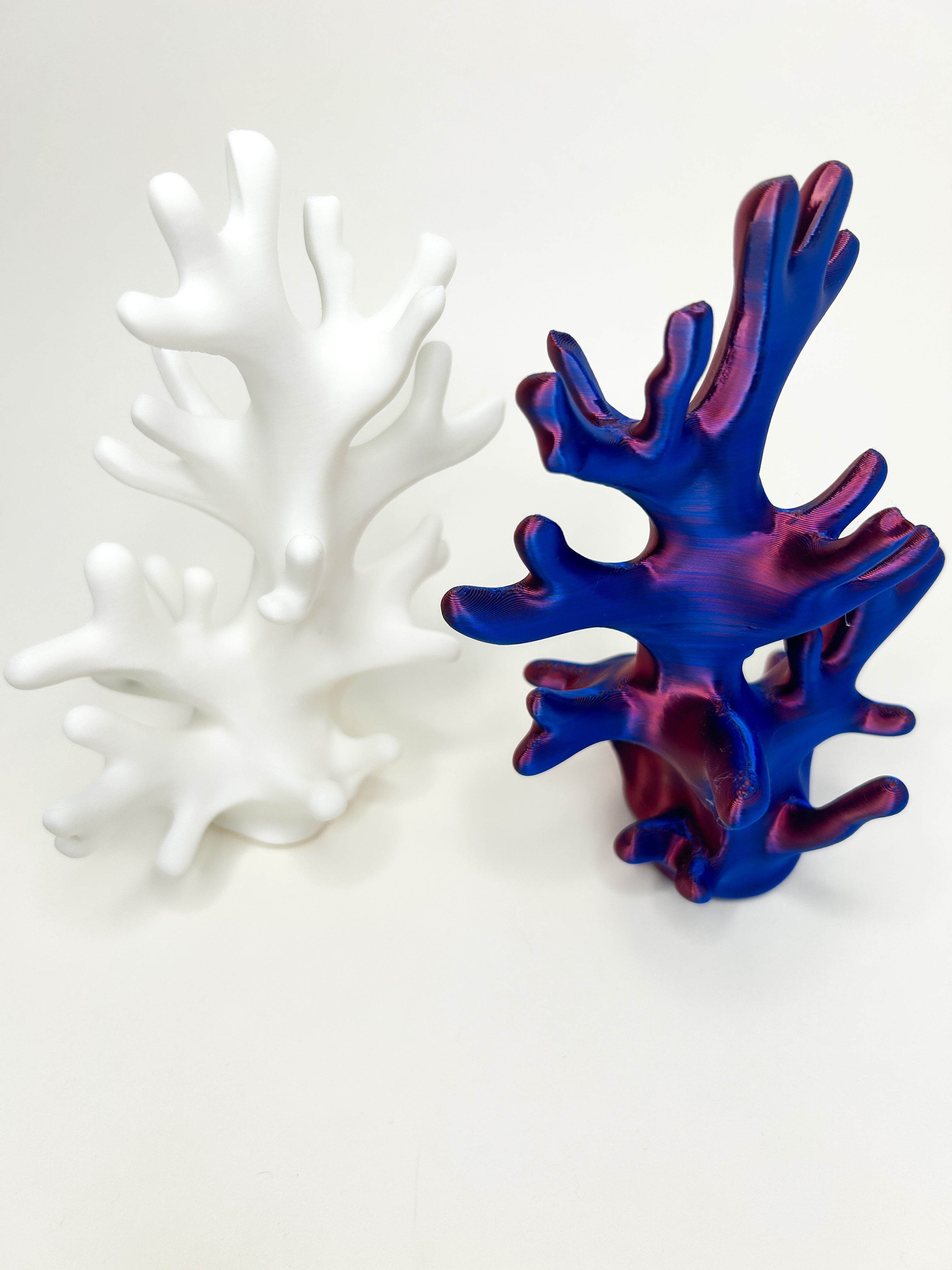 Coral Reef Jewelry Holder