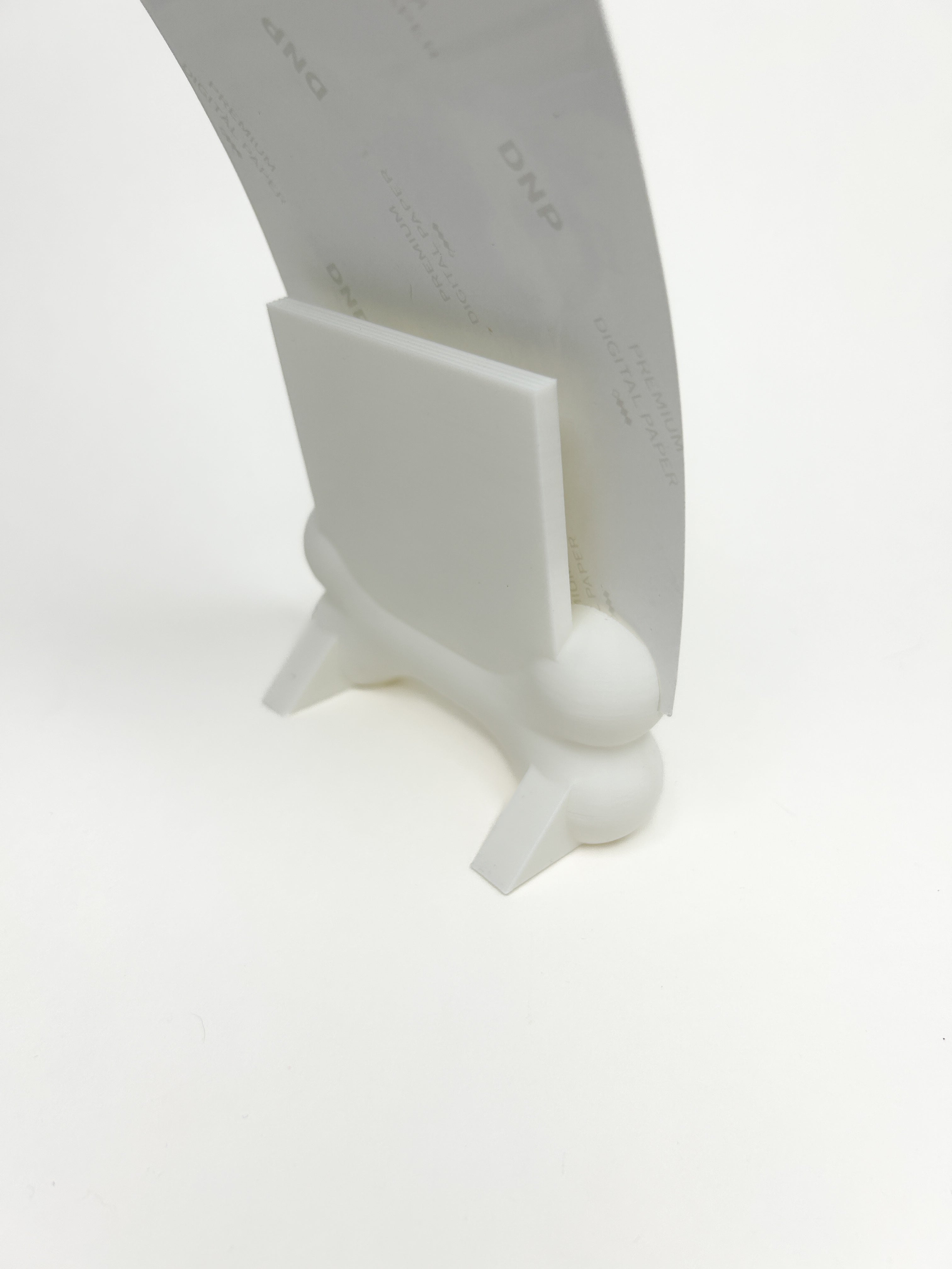 Dog Bone Picture Holder