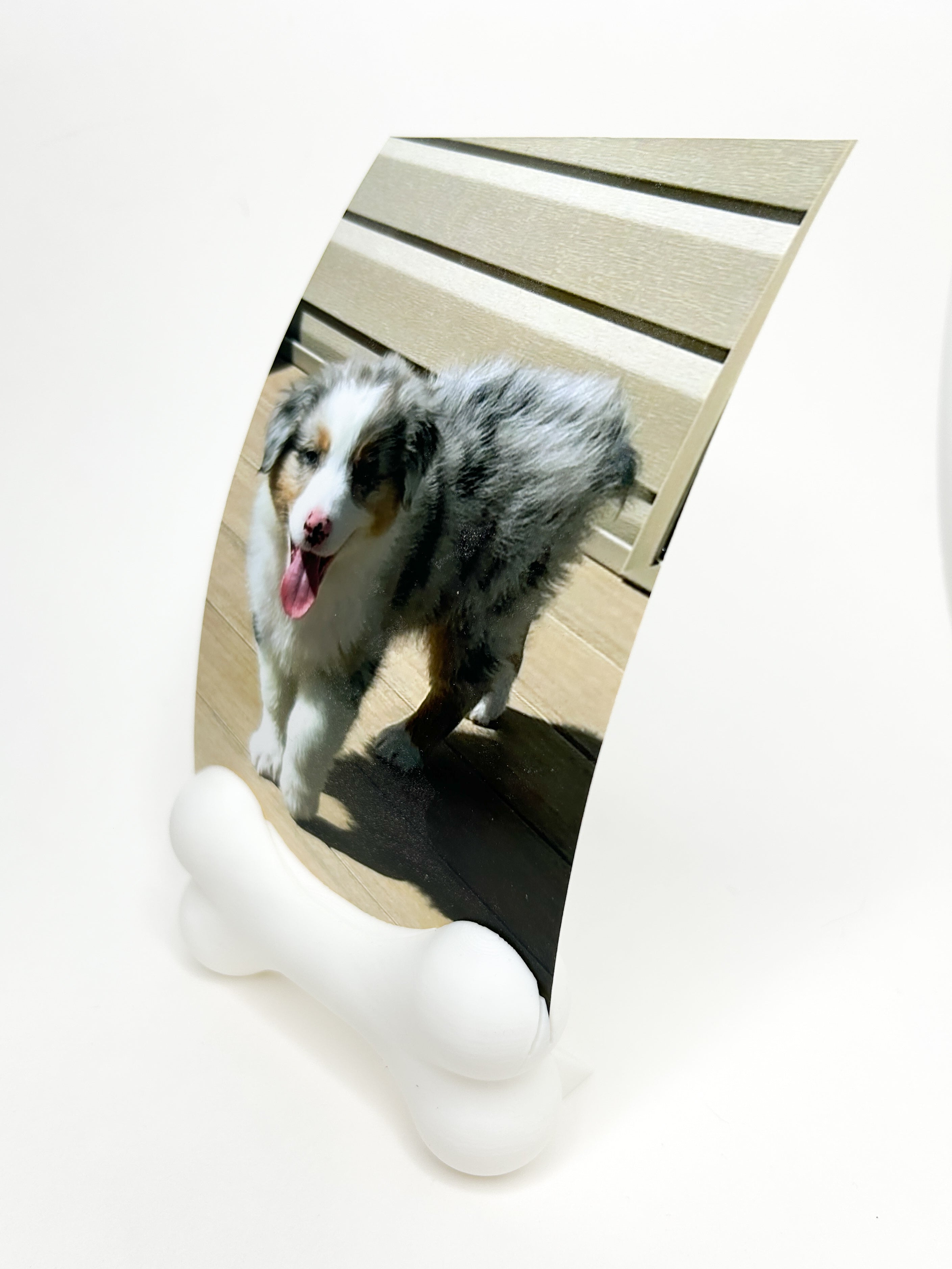 Dog Bone Picture Holder